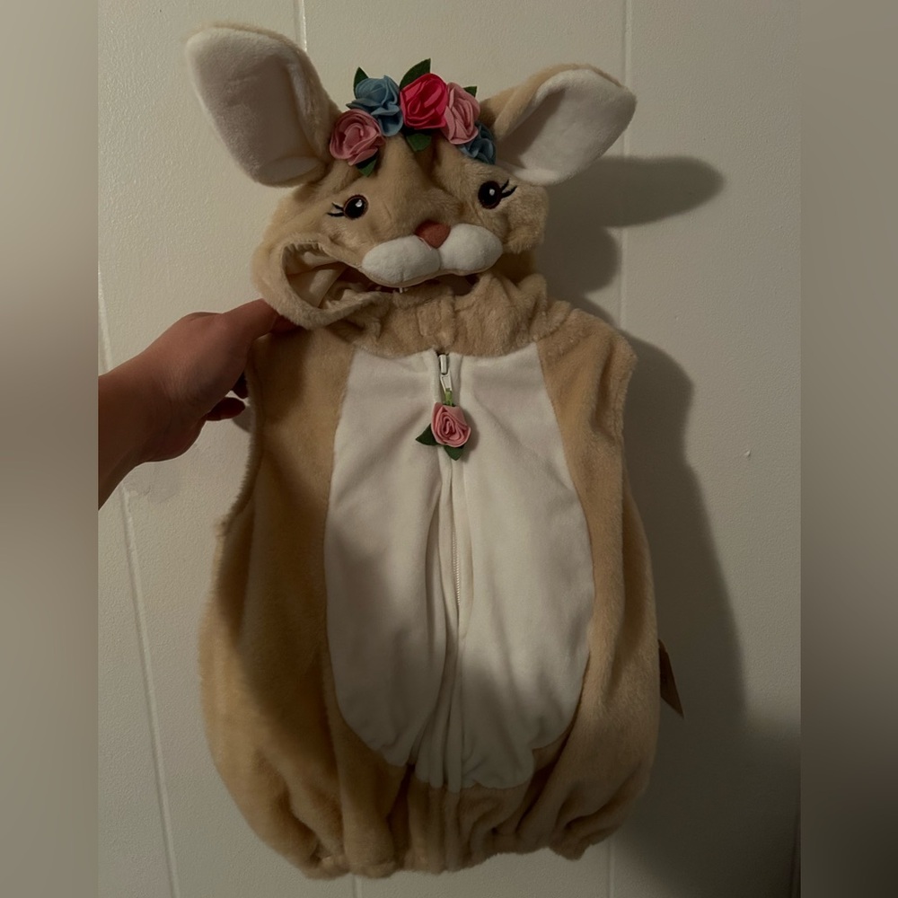Bunny Costume - 12 months